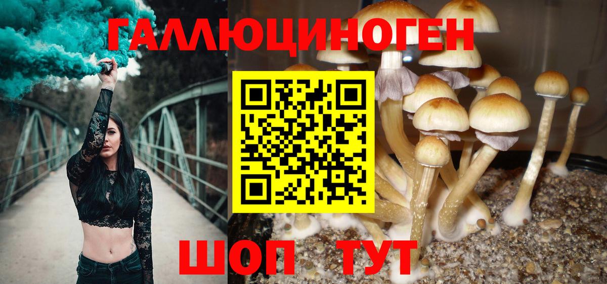 Горячий Ключ  Галлюциногенные грибы прущие грибы  Псилоцибиновые грибы ЛСД  Вход с VPN 